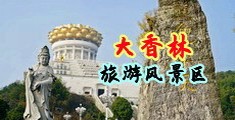 艹逼视频饮件网站中国浙江-绍兴大香林旅游风景区